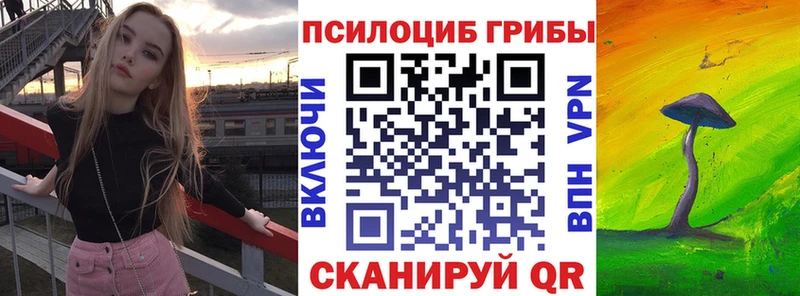 blacksprut маркетплейс  Щёлково  Галлюциногенные грибы мухоморы 